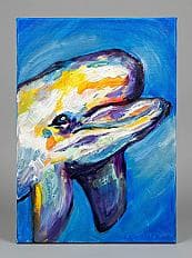 Dolphin Dreams - gallery image 6